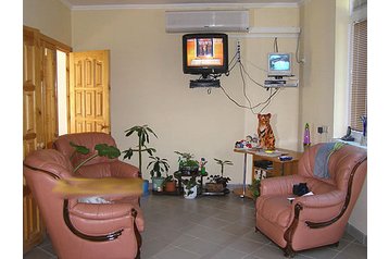 Русия Privát Шепси / Shepsi, Екстериор